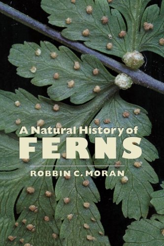 A Natural History Of Ferns [Paperback]