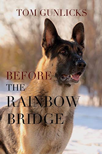 Before the Rainbow Bridge [Paperback]