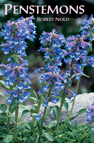 Penstemons [Paperback]