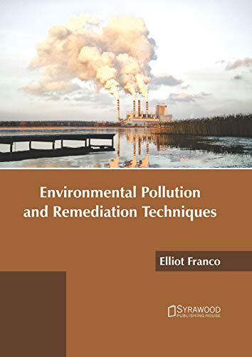 Environmental Pollution and Remediation Techniques [Hardcover]