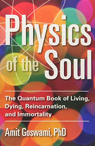 Physics Of The Soul The Quantum Book Of Living, Dying, Reincarnation, And Immor [Paperback]
