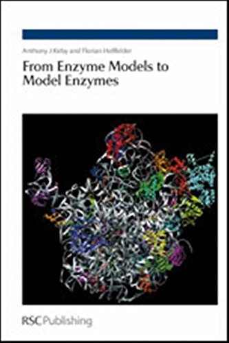 From Enzyme Models to Model Enzymes RSC [Hardcover]