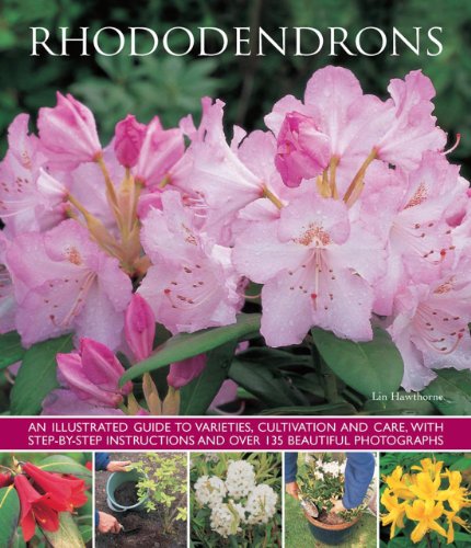 Rhododendrons An illustrated guide to varieties, cultivation and care, with ste [Paperback]