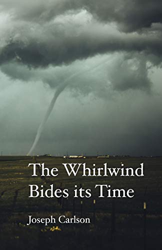 The Whirlwind Bides His Time Sonnets For The Church Year [Paperback]