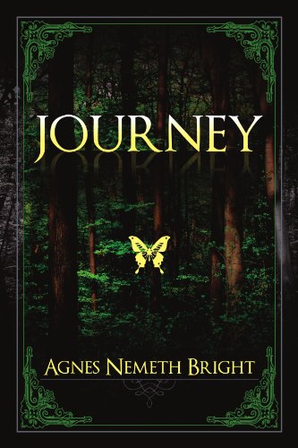 Journey [Paperback]