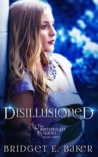 Disillusioned [Paperback]