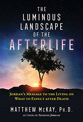 The Luminous Landscape of the Afterlife Jordan&39s Message to the Living on W [Paperback]