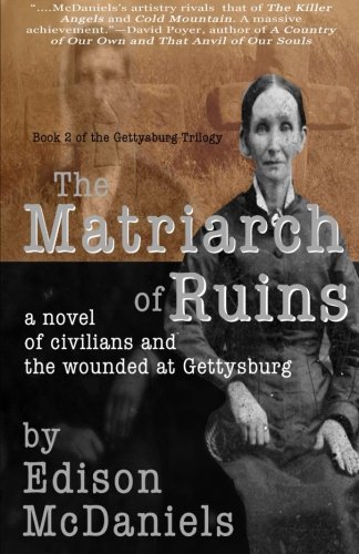 The Matriarch Of Ruins A Novel Of Civilians And The Wounded At Gettysburg (the  [Paperback]