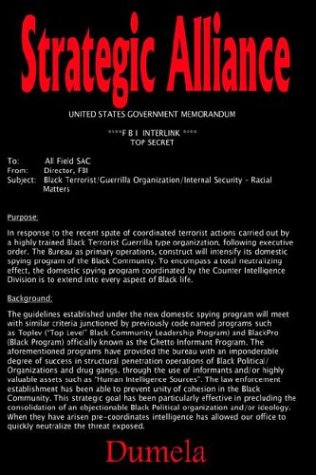 Strategic Alliance [Hardcover]