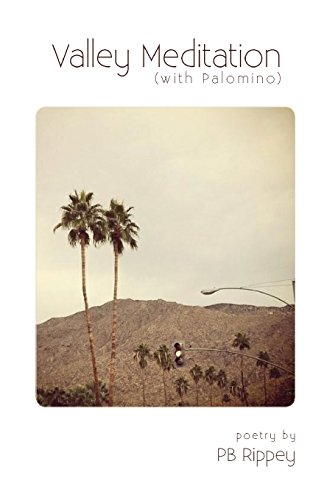 Valley Meditation (with Palomino) [Paperback]