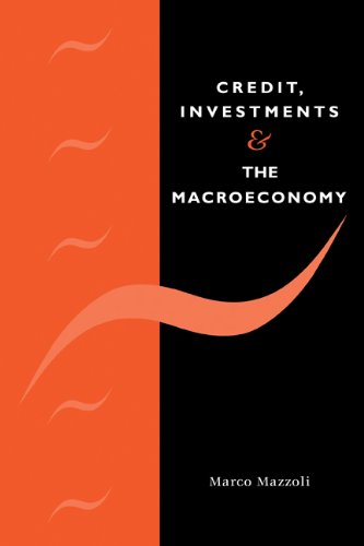 Credit, Investments and the Macroeconomy A Few Open Issues [Hardcover]