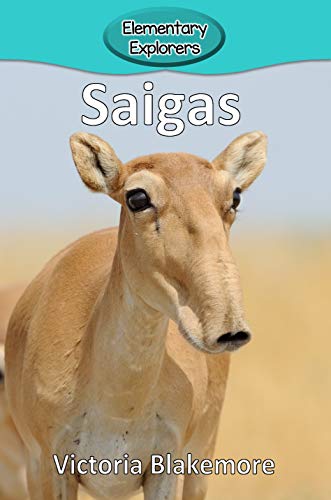 Saigas [Paperback]