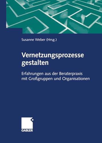 Vernetzungsprozesse gestalten Erfahrungen aus der Beraterpraxis mit Grogruppen [Paperback]