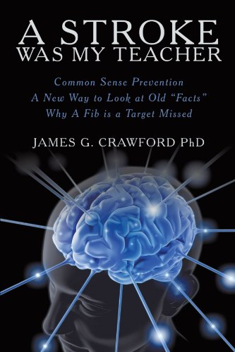 A Stroke Was My Teacher [Paperback]