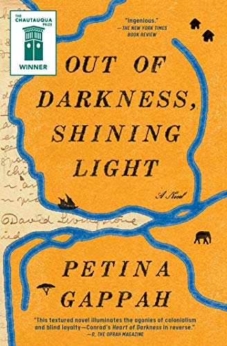 Out of Darkness, Shining Light A Novel [Paperback]