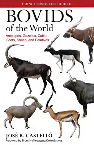 Bovids of the World Antelopes, Gazelles, Cattle, Goats, Sheep, and Relatives [Paperback]
