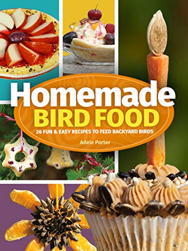 Homemade Bird Food 26 Fun &amp Easy Recipes to Feed Backyard Birds [Hardcover]