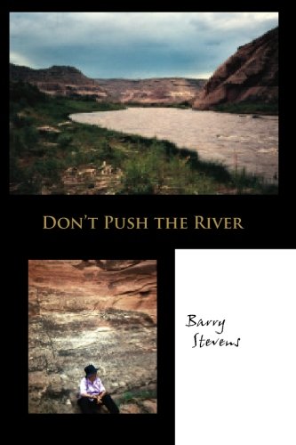 Don't Push The River It Flows By Itself [Paperback]