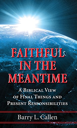Faithful In The Meantime [Hardcover]