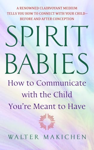 Spirit Babies: How to Communicate with the Child You're Meant to Have [Paperback]