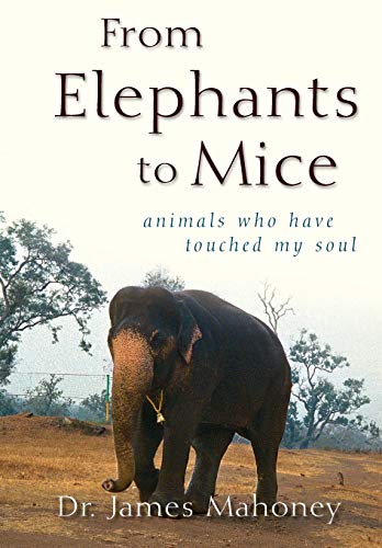 From Elephants to Mice  Animals Who Have Touched My Soul [Paperback]