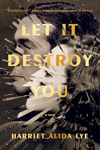 Let It Destroy You A Novel [Paperback]