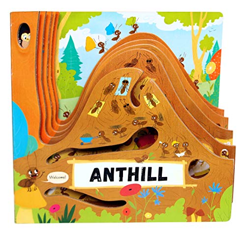 Anthill [Board book]