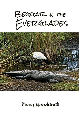 Beggar In The Everglades [Paperback]