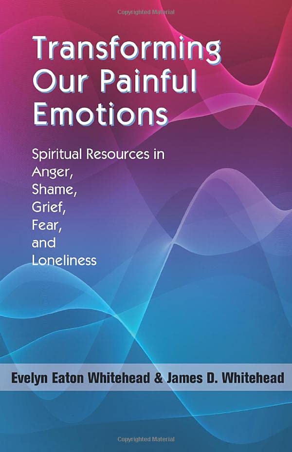 Transforming Our Painful Emotions Spiritual Resources In Anger, Shame, Grief, F [Paperback]