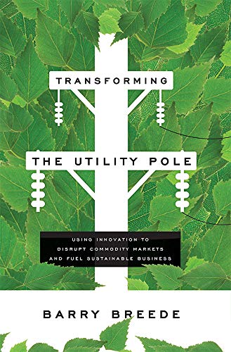 Transforming The Utility Pole Using Innovation To Disrupt Commodity Markets And [Paperback]