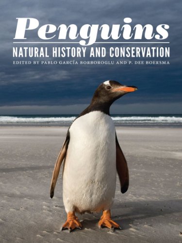 Penguins Natural History And Conservation (samuel And Althea Stroum Books) [Hardcover]