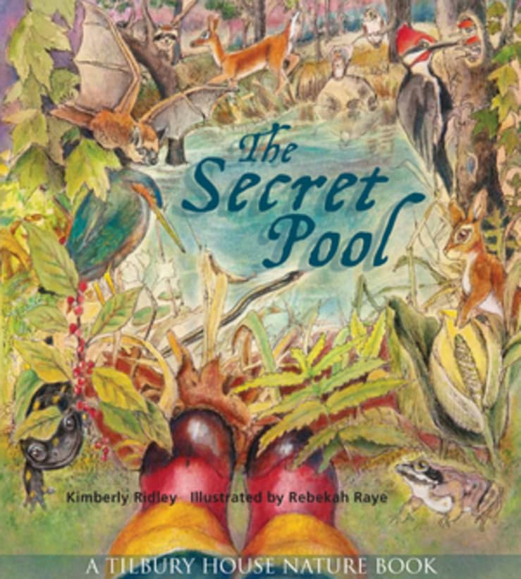 The Secret Pool [Paperback]