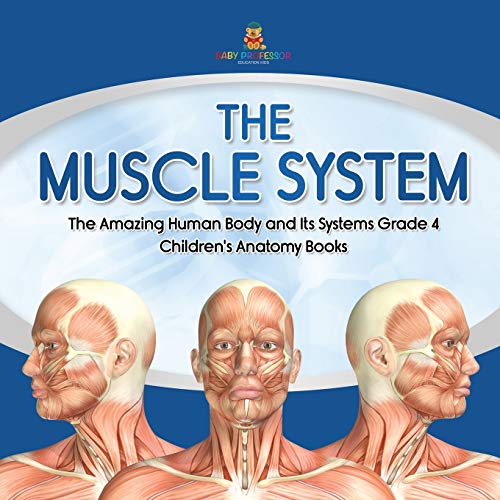Muscle System | The Amazing Human Body And Its Systems Grade 4 | Children's Anat [Paperback]