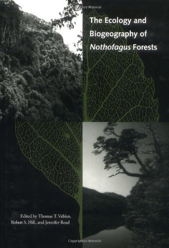 The Ecology and Biogeography of Nothofagus Forests [Hardcover]