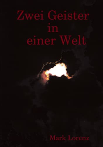 Zwei Geister in einer Welt [Paperback]