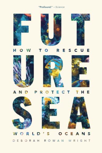 Future Sea How to Rescue and Protect the World&39s Oceans [Paperback]