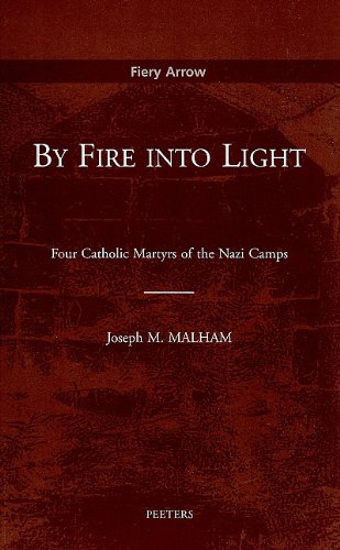 By Fire into Light Four Catholic Martyrs of the Nazi Camps [Paperback]