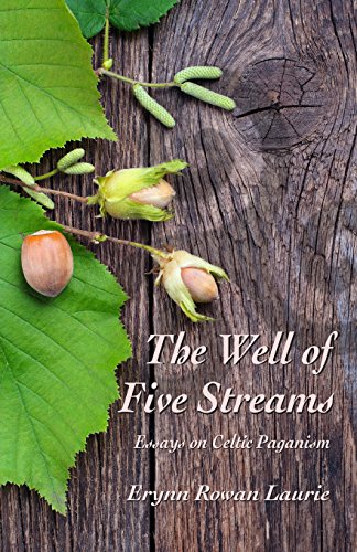 The Well Of Five Streams [Paperback]