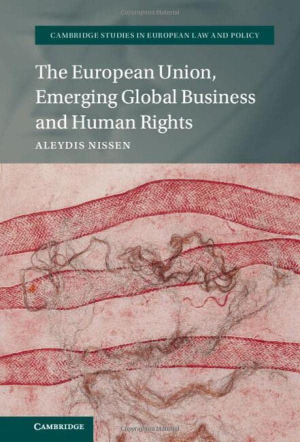 The European Union, Emerging Global Business and Human Rights [Hardcover]
