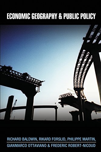 Economic Geography and Public Policy [Paperback]