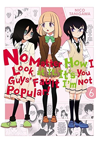 No Matter How I Look at It, It's You Guys' Fault I'm Not Popular, Vol. 6 [Paperback]