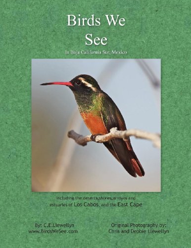 Birds We See [Paperback]