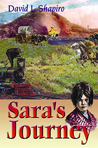 Sara's Journey [Paperback]