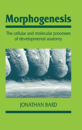 Morphogenesis The Cellular and Molecular Processes of Developmental Anatomy [Hardcover]
