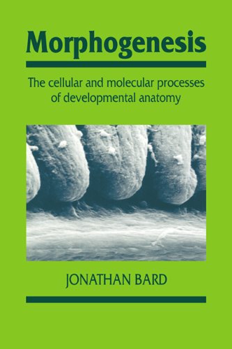 Morphogenesis The Cellular and Molecular Processes of Developmental Anatomy [Paperback]