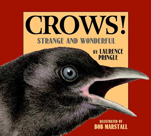 Crows Strange and Wonderful [Paperback]