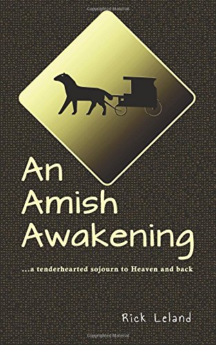 An Amish Awakening A Tenderhearted Sojourn To Heaven And Back [Paperback]