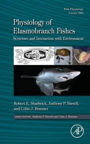 Physiology of Elasmobranch Fishes Structure and Interaction with Environment [Hardcover]