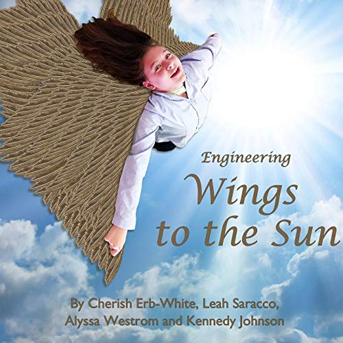 Engineering Wings to the Sun [Paperback]