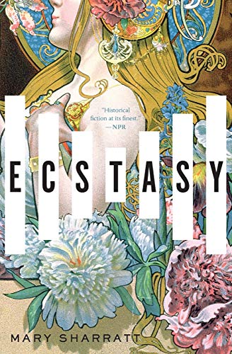 Ecstasy A Novel [Paperback]